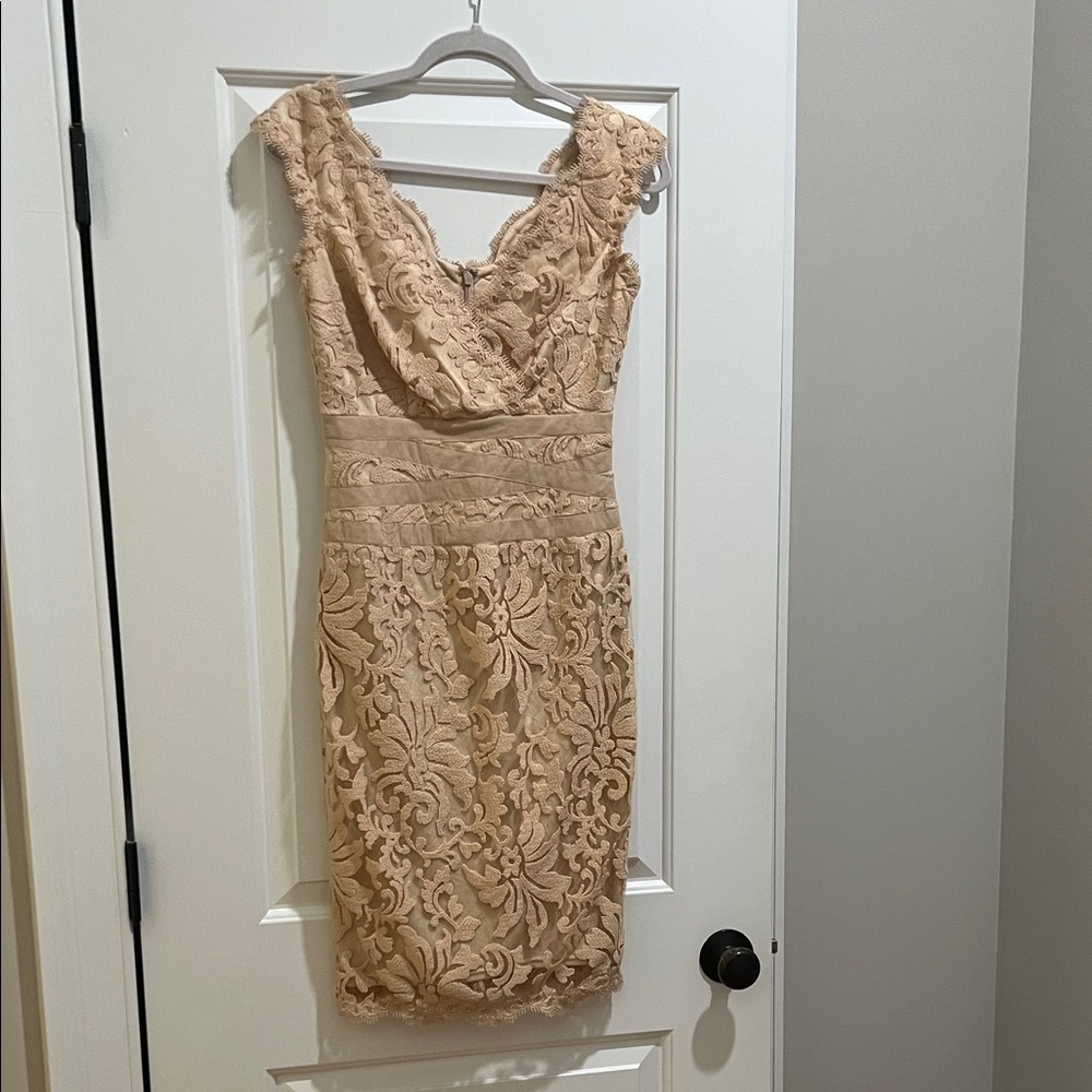 Tadashi Shoji Lace Beige Dress, 2